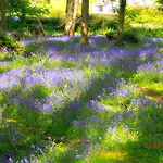 Larkfield House B&b, Ballycasheen Kerry V93 Wd51 3* Κιλάρνεϊ