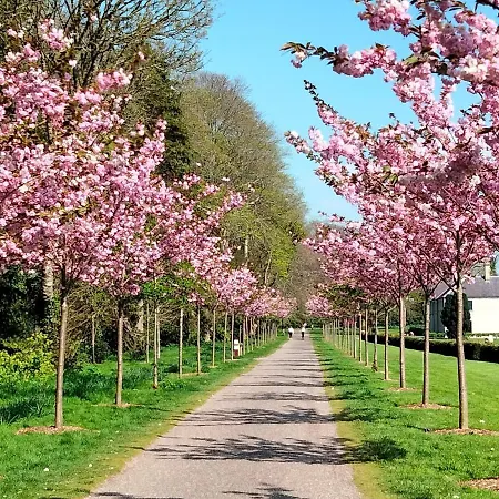 Larkfield House B&b, Ballycasheen Kerry V93 Wd51 Killarney