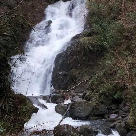 Frühstückspension Larkfield House B&b, Ballycasheen Kerry V93 Wd51 3*