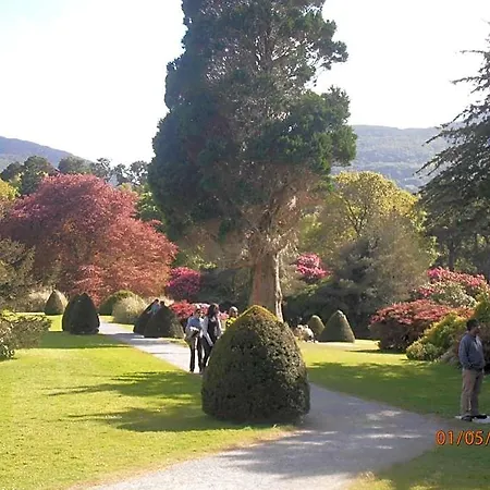 ベッド・アンド・ブレックファスト Larkfield House B&b, Ballycasheen Kerry V93 Wd51 キラーニー