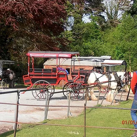 Larkfield House B&b, Ballycasheen Kerry V93 Wd51 3* キラーニー