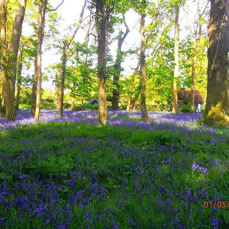 فندق مبيت وإفطار Larkfield House B&b, Ballycasheen Kerry V93 Wd51 كيلارني