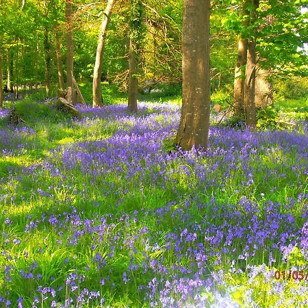 Larkfield House B&b, Ballycasheen Kerry V93 Wd51 3*