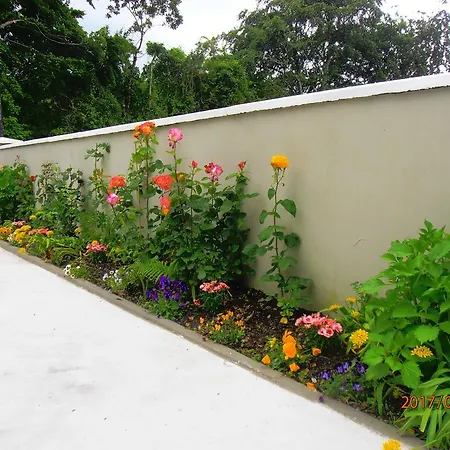 Larkfield House B&b, Ballycasheen Kerry V93 Wd51 Frühstückspension Killarney