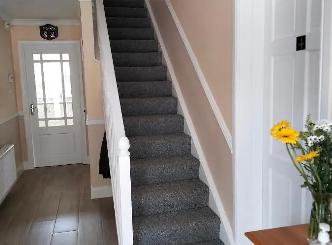 Larkfield House B&b, Ballycasheen Kerry V93 Wd51 基拉尼