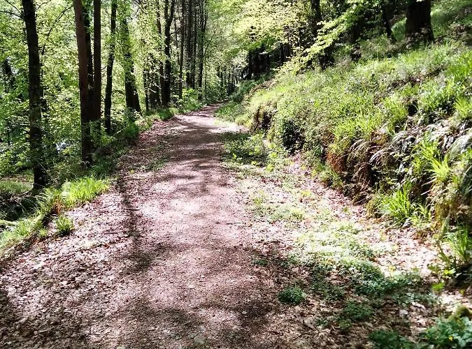 Larkfield House B&b, Ballycasheen Kerry V93 Wd51 3* 基拉尼