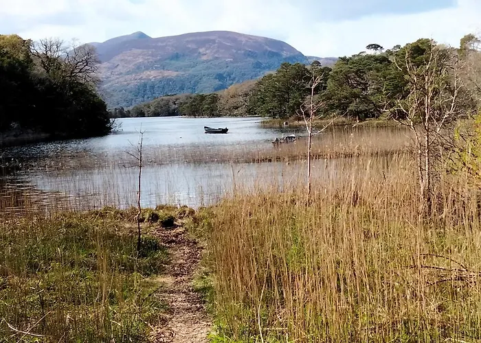 Larkfield House B&b, Ballycasheen Kerry V93 Wd51