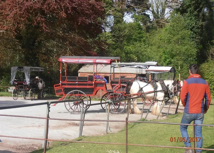 Larkfield House B&b, Ballycasheen Kerry V93 Wd51 住宿加早餐酒店 3*