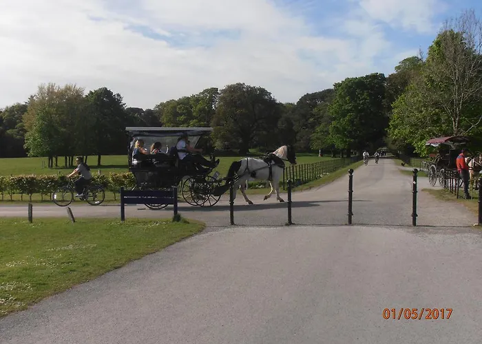 住宿加早餐酒店 Larkfield House B&b, Ballycasheen Kerry V93 Wd51