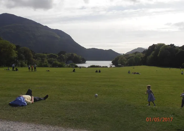 Larkfield House B&b, Ballycasheen Kerry V93 Wd51 לינה וארוחת בוקר קיל איירן