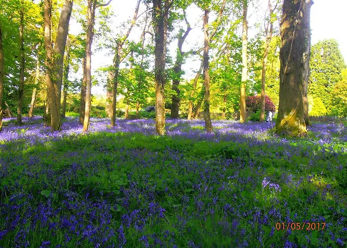 住宿加早餐酒店 Larkfield House B&b, Ballycasheen Kerry V93 Wd51 基拉尼