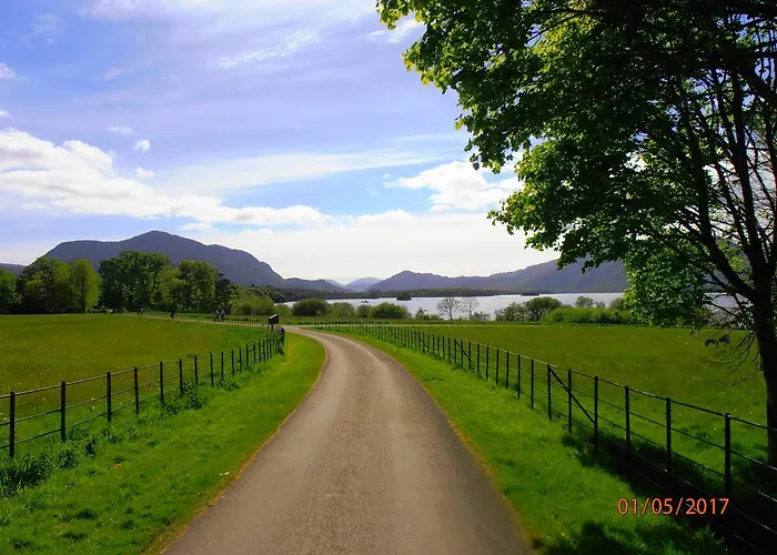 Larkfield House B&b, Ballycasheen Kerry V93 Wd51 Bed & Breakfast Killarney