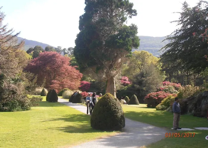 住宿加早餐酒店 Larkfield House B&b, Ballycasheen Kerry V93 Wd51