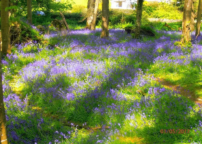 Larkfield House B&b, Ballycasheen Kerry V93 Wd51 3* 基拉尼