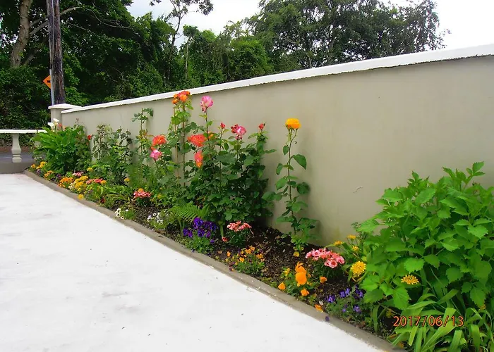 Larkfield House B&b, Ballycasheen Kerry V93 Wd51 Bed & Breakfast Killarney