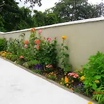Larkfield House B&b, Ballycasheen Kerry V93 Wd51 Frühstückspension Killarney