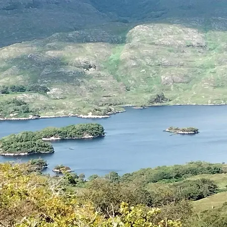 Larkfield House B&b, Ballycasheen Kerry V93 Wd51 3*