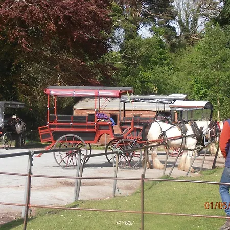 Larkfield House B&b, Ballycasheen Kerry V93 Wd51 Bed and breakfast 3*