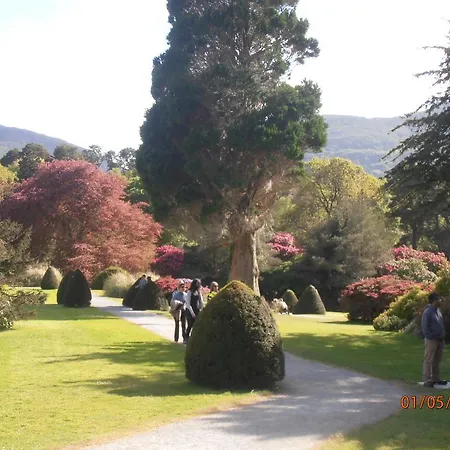 Bed and breakfast Larkfield House B&b, Ballycasheen Kerry V93 Wd51