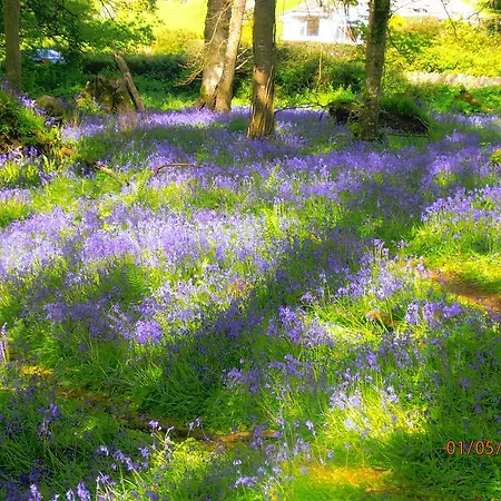 Larkfield House B&b, Ballycasheen Kerry V93 Wd51 3* Cill Airne