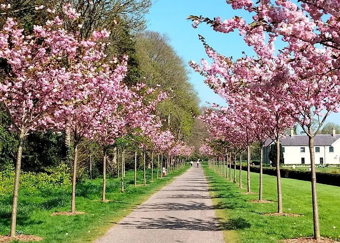 Larkfield House B&b, Ballycasheen Kerry V93 Wd51 キラーニー