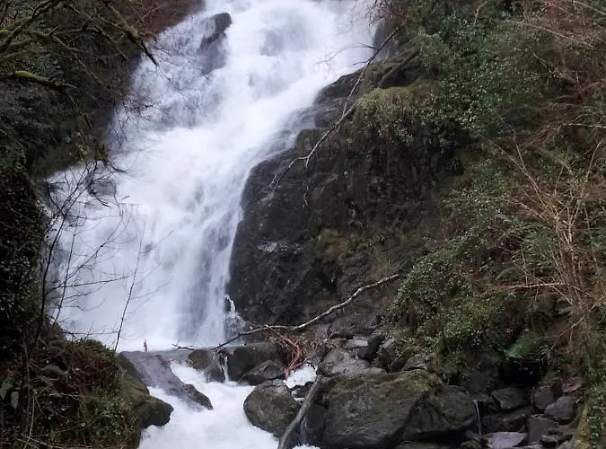 ベッド・アンド・ブレックファスト Larkfield House B&b, Ballycasheen Kerry V93 Wd51 3*