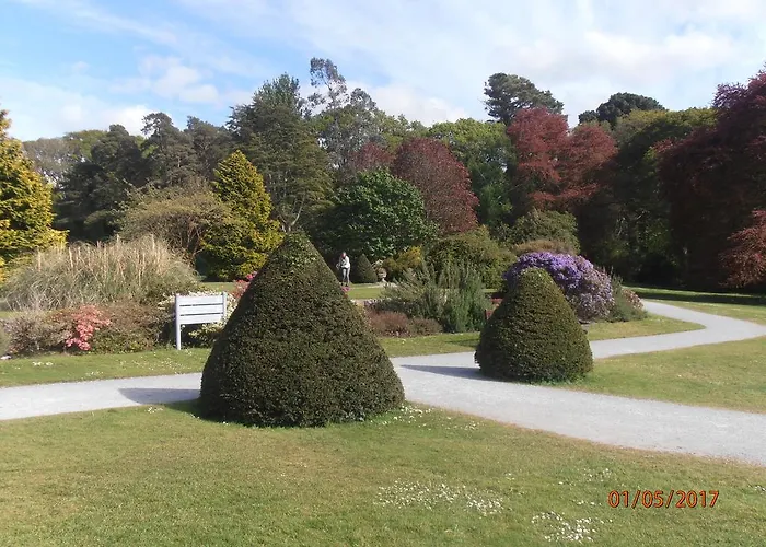 ベッド・アンド・ブレックファスト Larkfield House B&b, Ballycasheen Kerry V93 Wd51 キラーニー