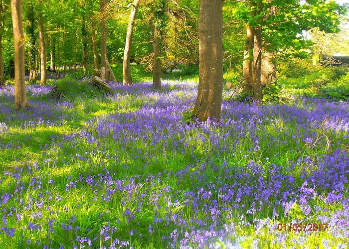 Larkfield House B&b, Ballycasheen Kerry V93 Wd51 3*